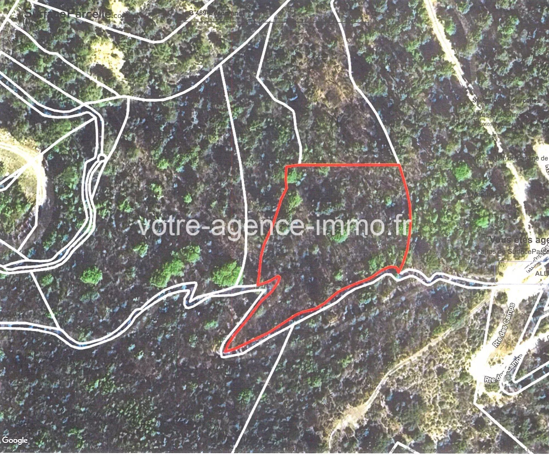 Photo Terrain L'Escarène