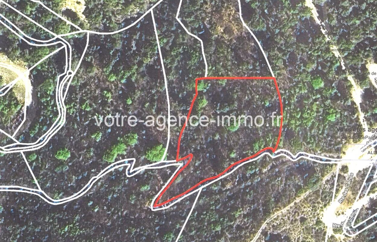 terrain  pièces 3990 m2 à vendre à L'Escarène (06440)