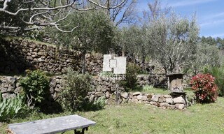 Photo N° 4