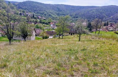 vente terrain 83 000 € à proximité de Larnod (25720)