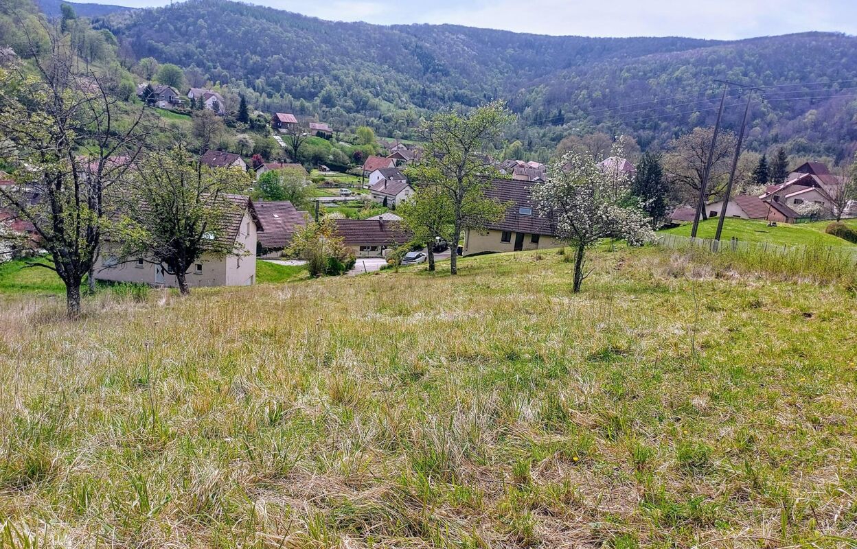 terrain  pièces 3600 m2 à vendre à Ornans (25290)