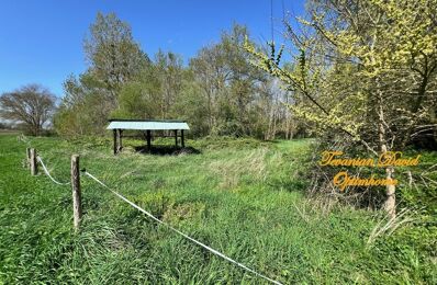 vente terrain 12 000 € à proximité de Mareuil-sur-Cher (41110)