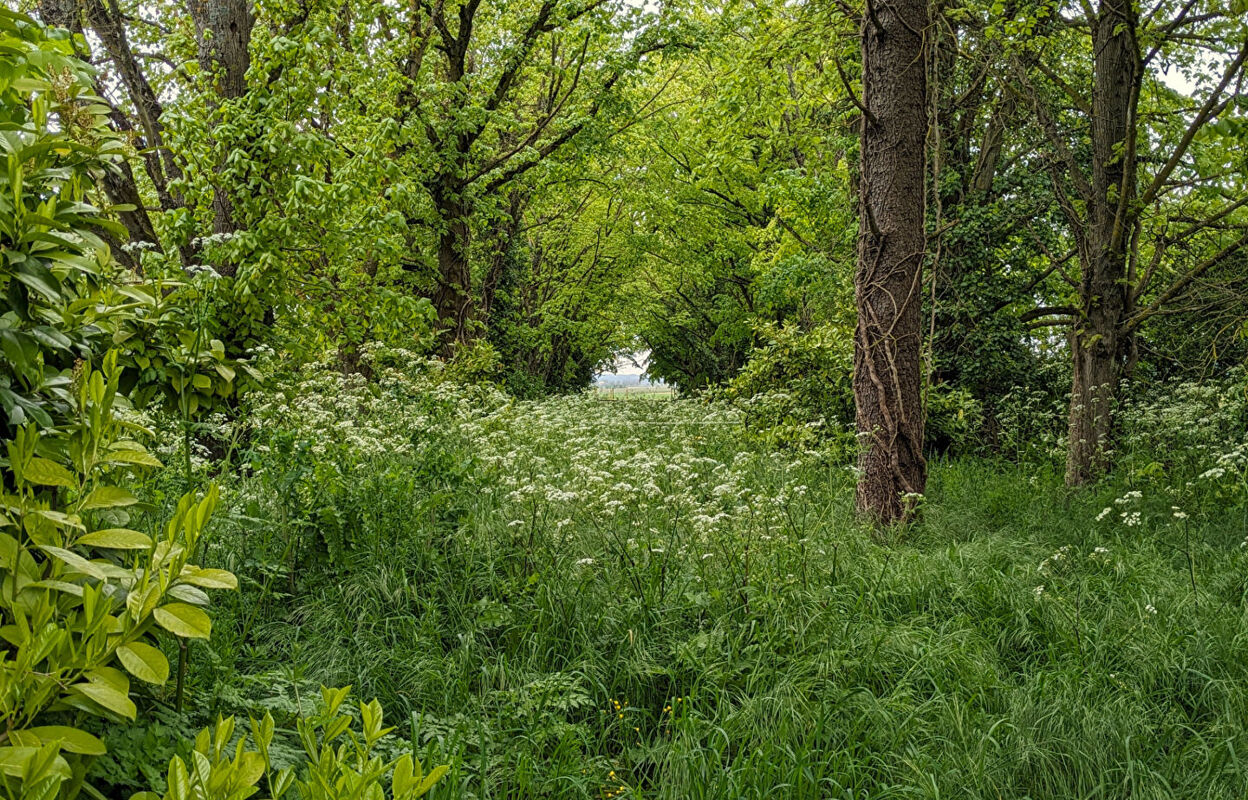 terrain  pièces 11100 m2 à vendre à Chasseneuil-du-Poitou (86360)