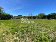 terrain — photo 2