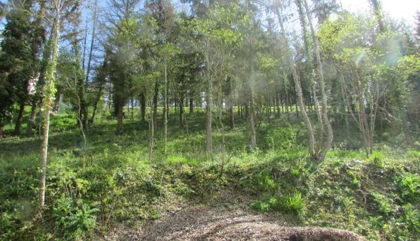 Terrain  à vendre Cherisy 28500