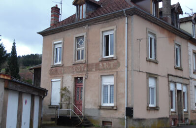 vente maison 80 000 € à proximité de Étival-Clairefontaine (88480)