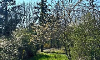Photo N° 3