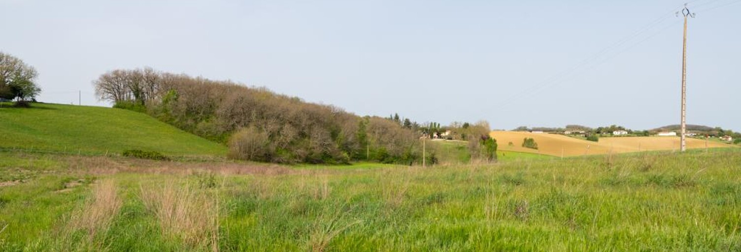 Terrain  17476 m² à vendre à Lartigue (32450)