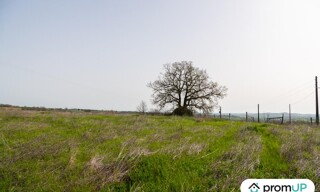 Photo N° 4