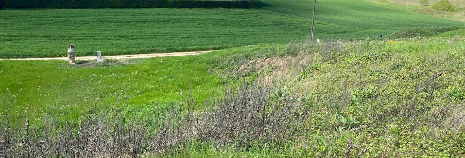 Terrain  691 m² à vendre à Montoire-sur-le-Loir (41800)