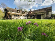 Maison Vitry Aux Loges + 5ha — photo 2