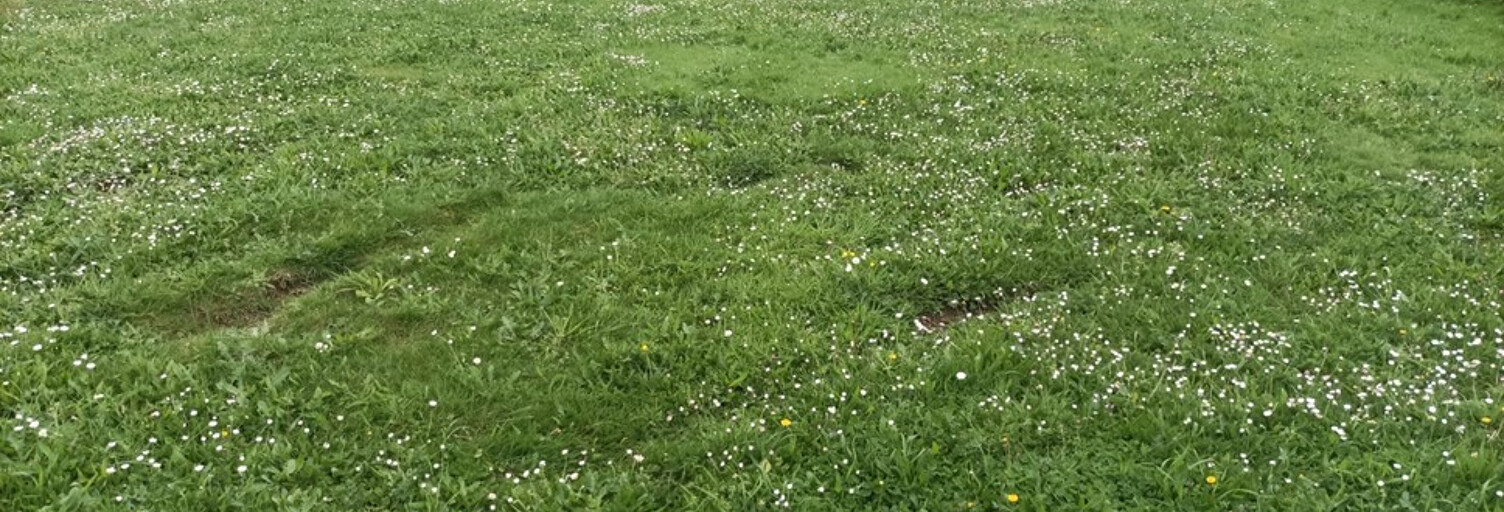 Terrain  514 m² à vendre à Pléchâtel (35470)