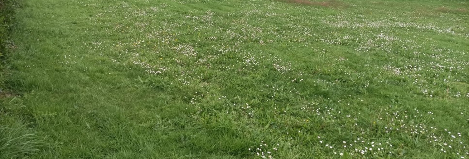 Terrain  626 m² à vendre à Pléchâtel (35470)