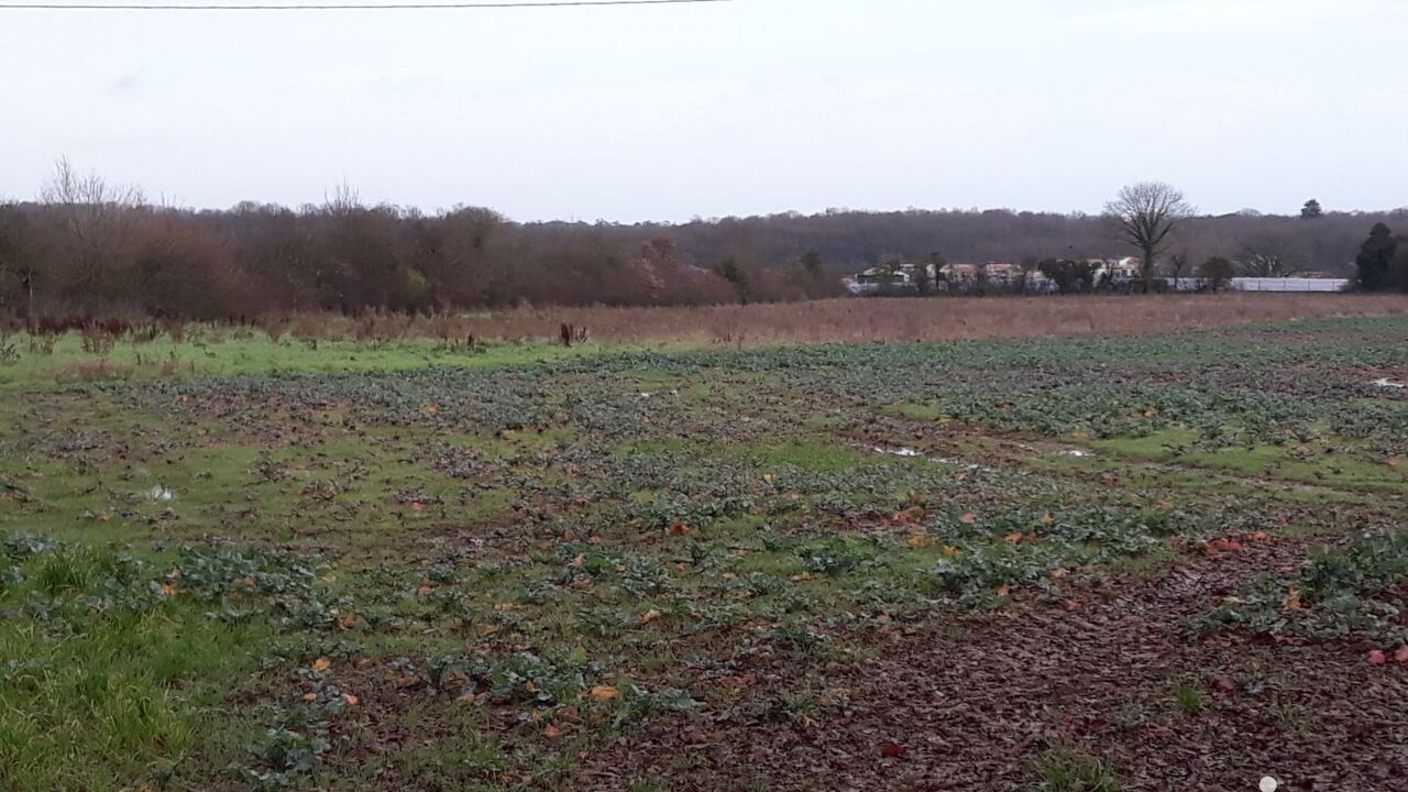 terrain  pièces 15000 m2 à vendre à Poitiers (86000)