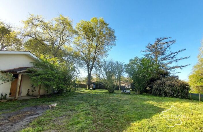 Maison 5 chambres et très grand jardin — photo 4