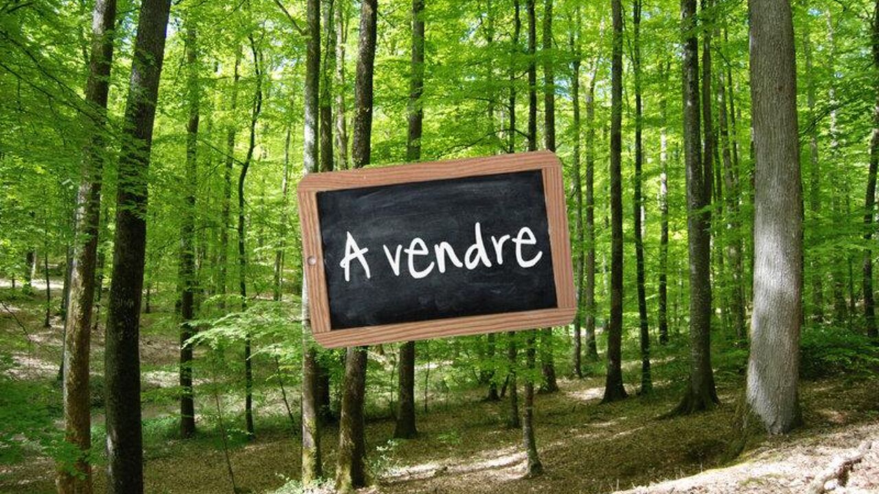 terrain  pièces 108540 m2 à vendre à Maleville (12350)