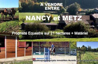 vente maison 947 400 € à proximité de Ancy-Dornot (57130)