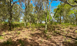 Terrain  2941 m² à vendre à Bias (40170)