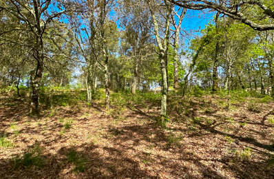 Terrain viabilisé à vendre proche des plages — photo du bien