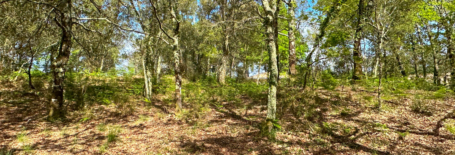 Terrain  2941 m² à vendre à Bias (40170)