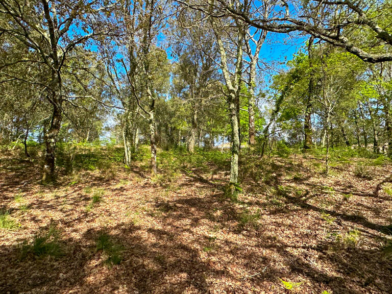 Terrain viabilisé à vendre proche des plages — photo 1