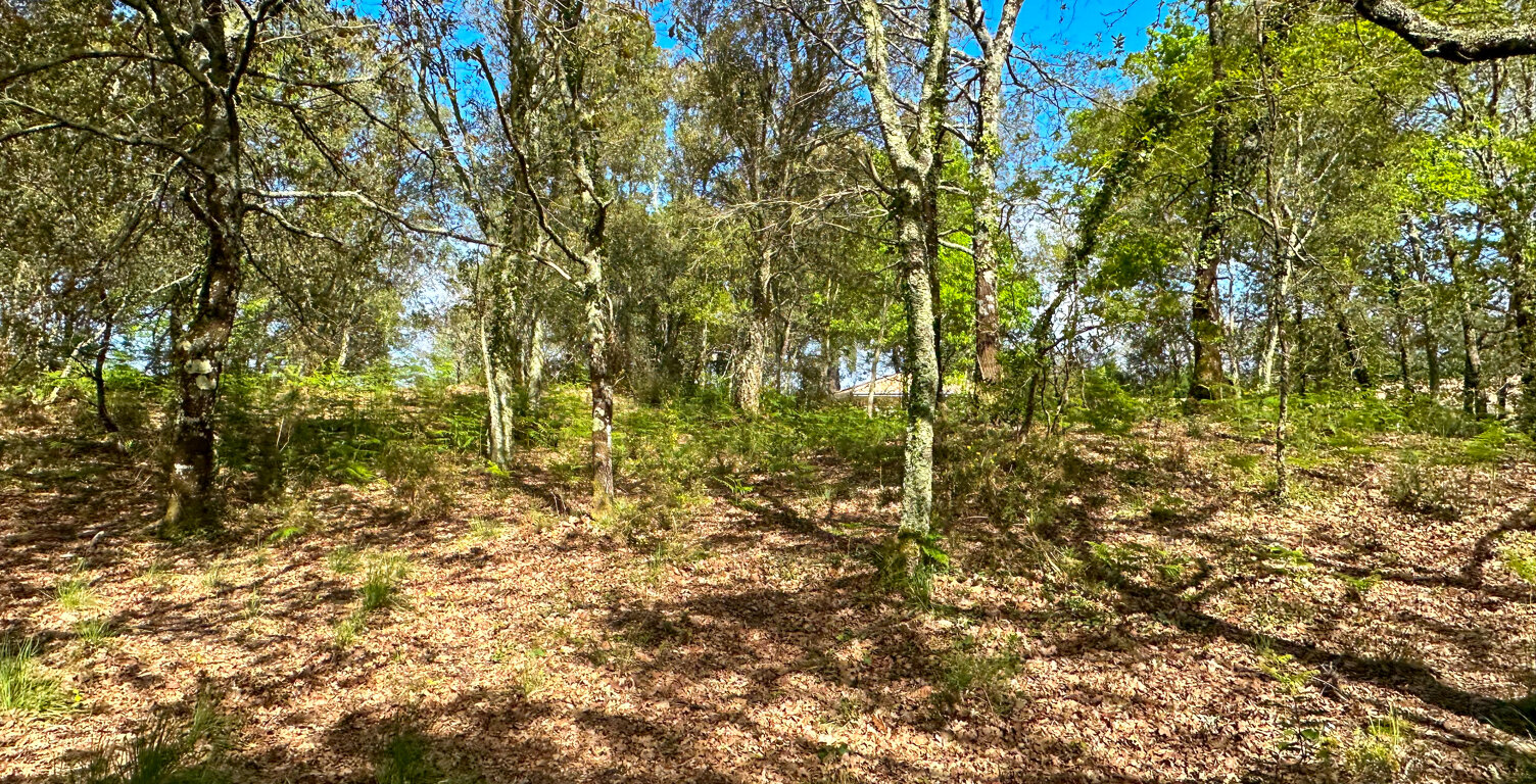 Terrain viabilisé à vendre proche des plages — photo 1