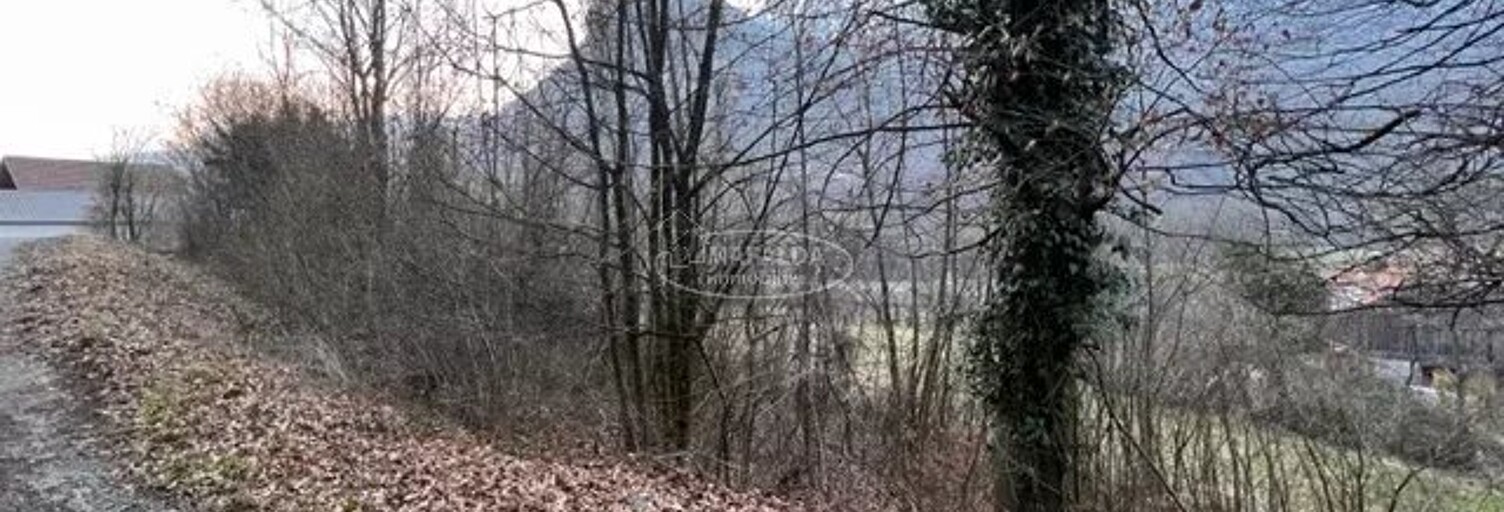 Terrain  1559 m² à vendre à Magland (74300)