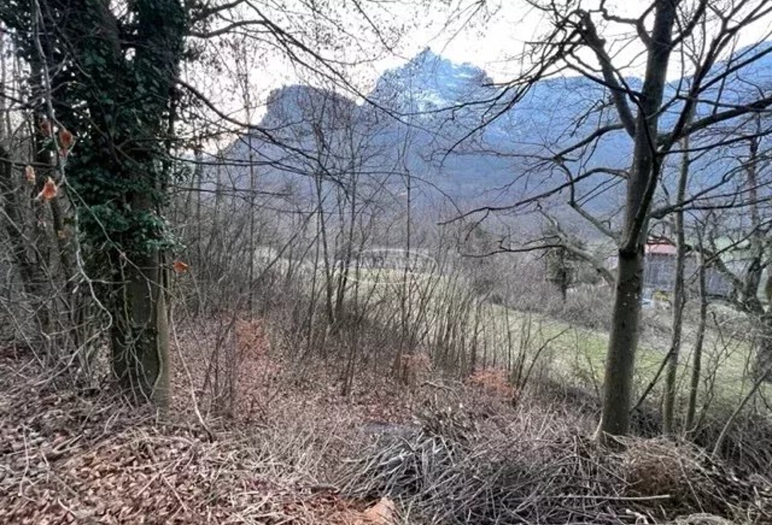 Terrain à Magland — photo 1