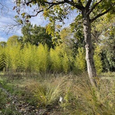 Terrain à construire 400 m²