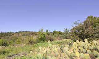 Terrain  1013 m² à vendre à Félines-Minervois (34210)