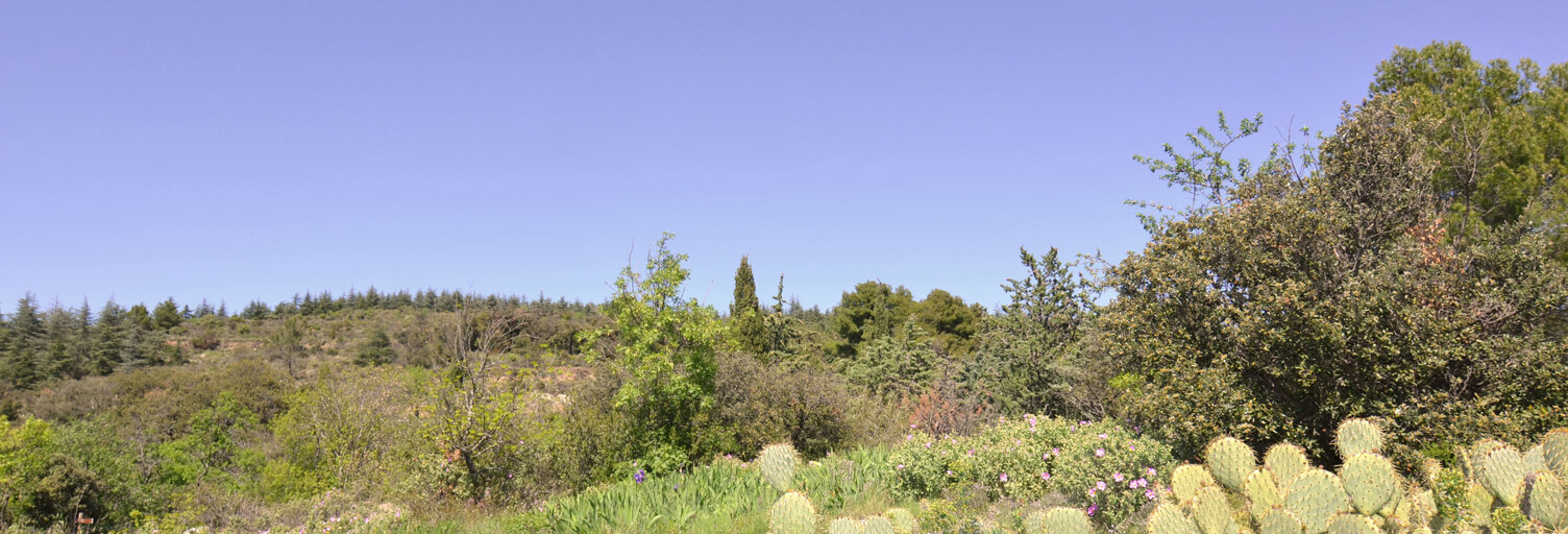 Terrain  1013 m² à vendre à Félines-Minervois (34210)