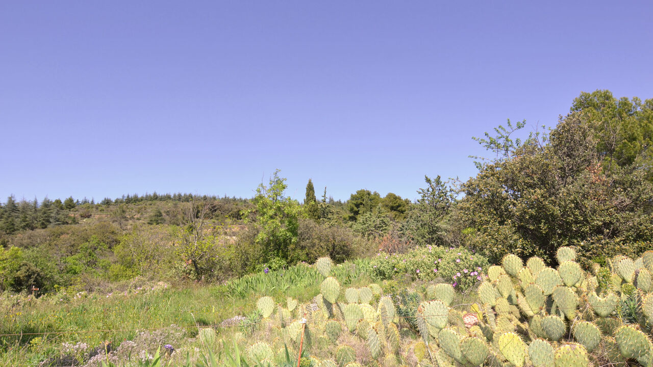 terrain  pièces 1013 m2 à vendre à Félines-Minervois (34210)