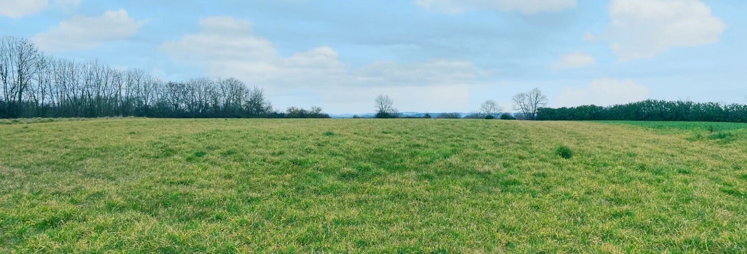 Terrain  11420 m² à vendre à Lembeye (64350)