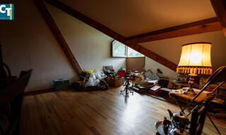 Photo N° 7