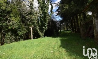 Photo N° 4