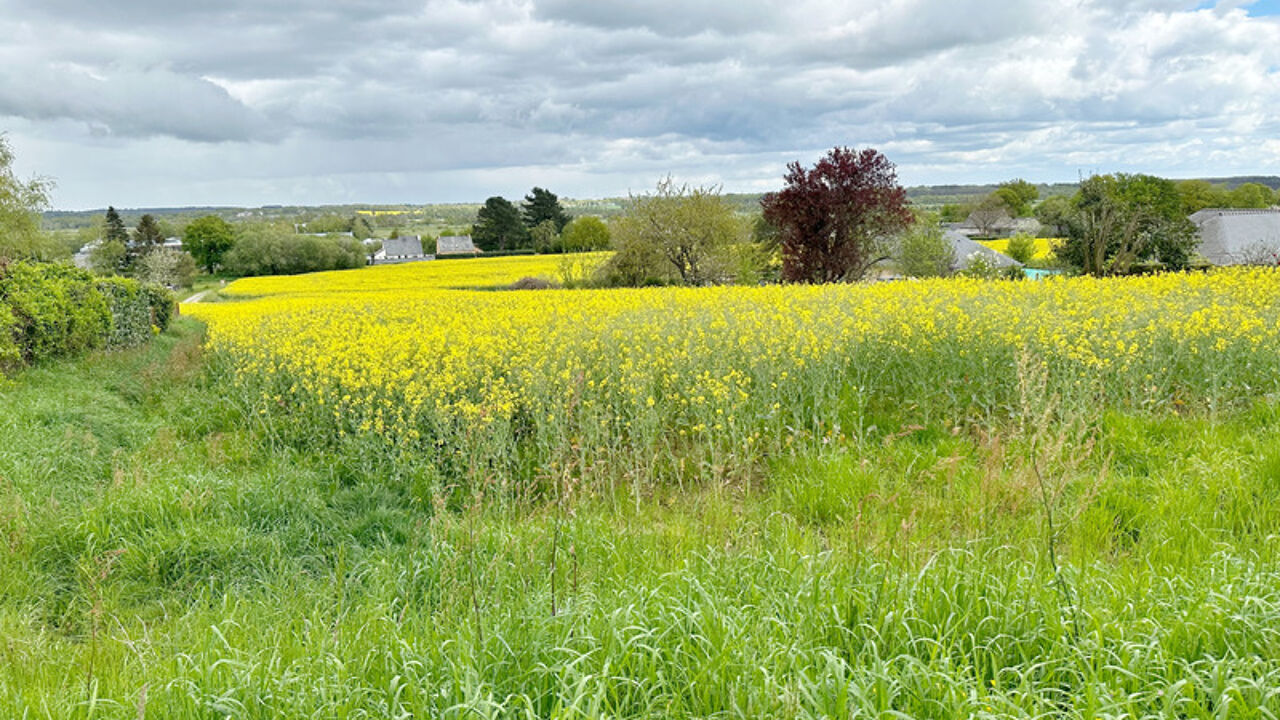 terrain  pièces 701 m2 à vendre à Rieux (56350)