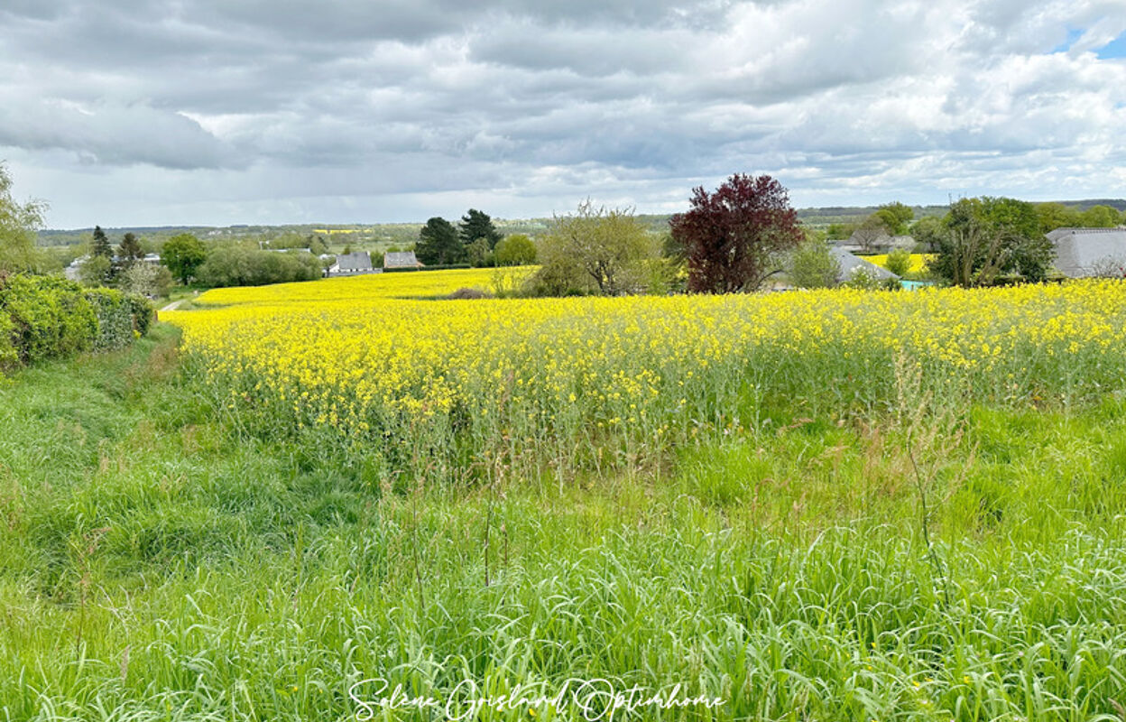 terrain  pièces 701 m2 à vendre à Rieux (56350)