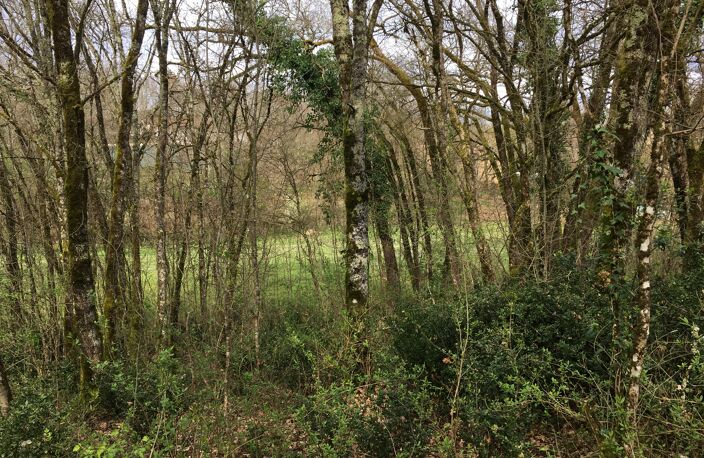 Terrain 977 m² — photo 2