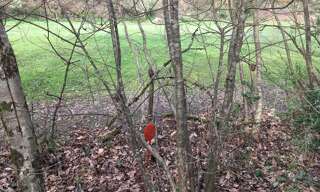 Terrain  977 m² à vendre à Cahors (46000)