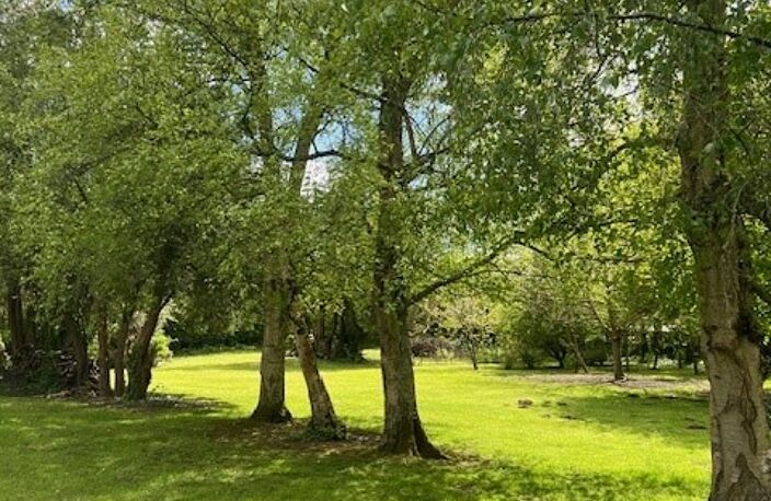 Vente maison 6 pièces 238 m² Hesdin-la-Forêt (62140) — photo 3