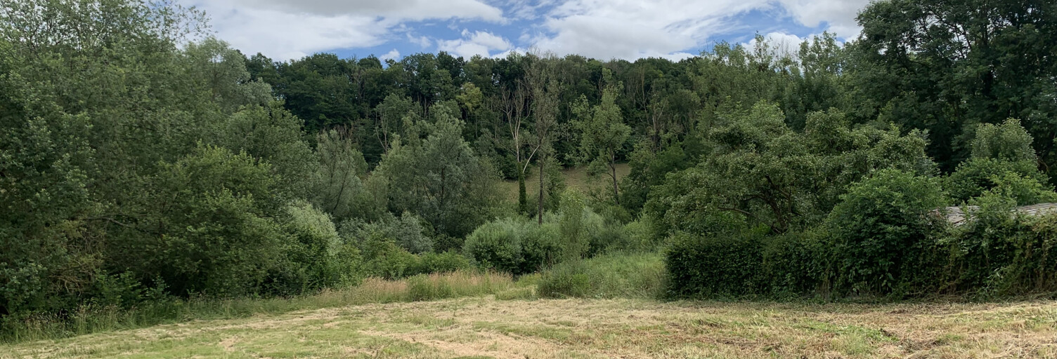 Terrain  8422 m² à vendre à Lannoy-Cuillère (60220)