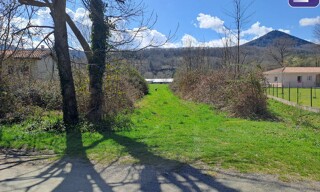 Photo N° 4
