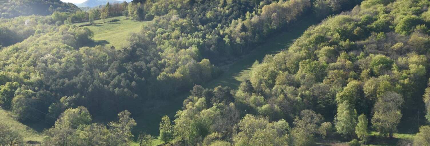 Maison 20 Pièces 570 m² à vendre à Ventenac (09120)