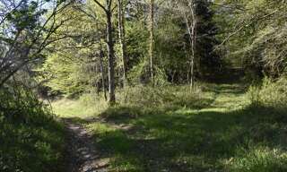 Maison 20 Pièces 570 m² à vendre à Ventenac (09120)