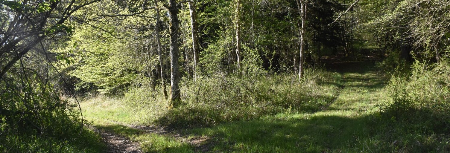 Maison 20 Pièces 570 m² à vendre à Ventenac (09120)