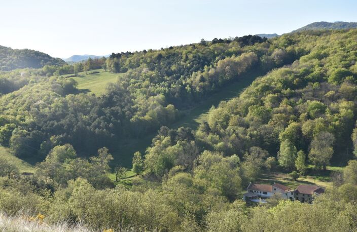 Domaine — photo 2