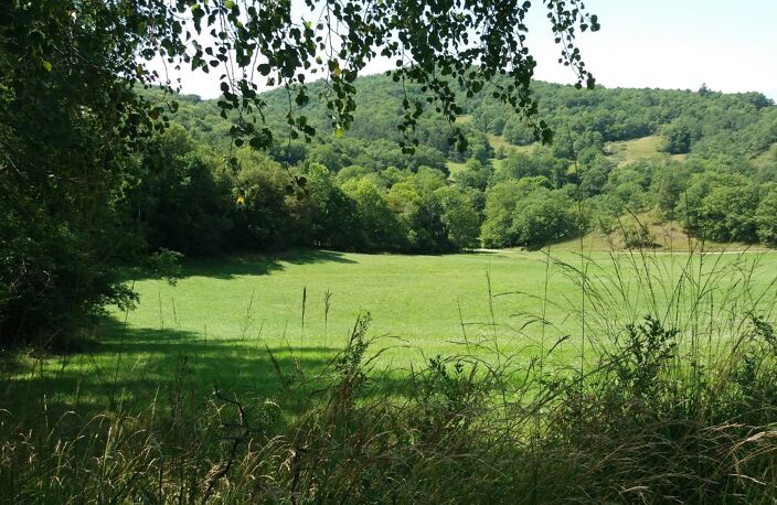 Domaine — photo 3