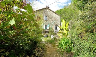 Photo N° 3