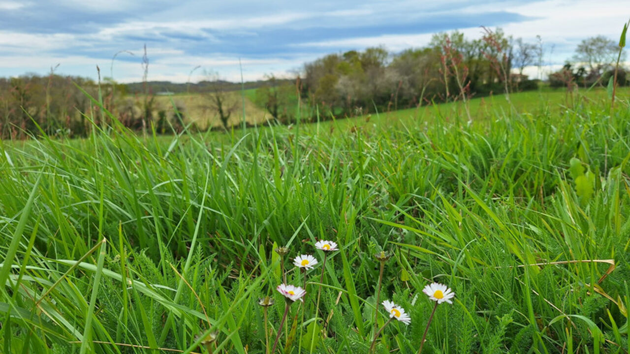 terrain  pièces 2690 m2 à vendre à Saint-Mont (32400)