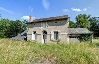 vente maison 69 000 € à proximité de Coteaux-sur-Loire (37130)